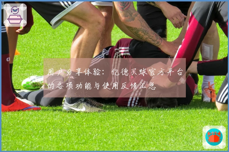 用户分享体验：亿德买球官方平台的各项功能与使用反馈汇总